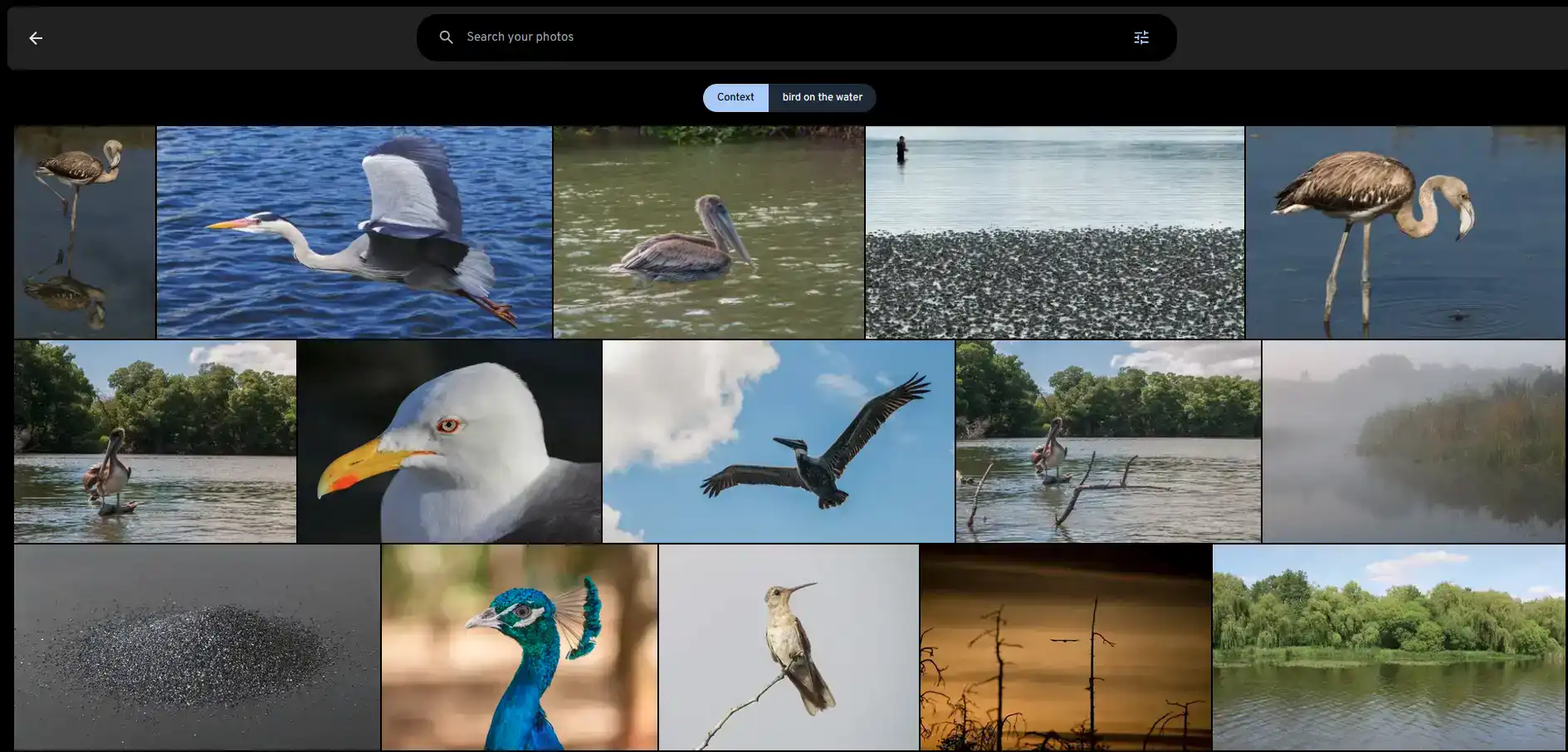 Search Example 1